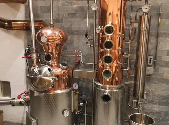 Bauernhof Hinterfirst * Söll