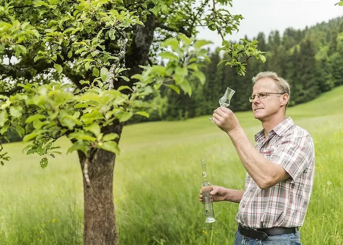 Bauernhof Hinterfirst Lägenhet *