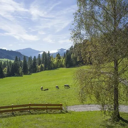 Apartment Bauernhof Hinterfirst *