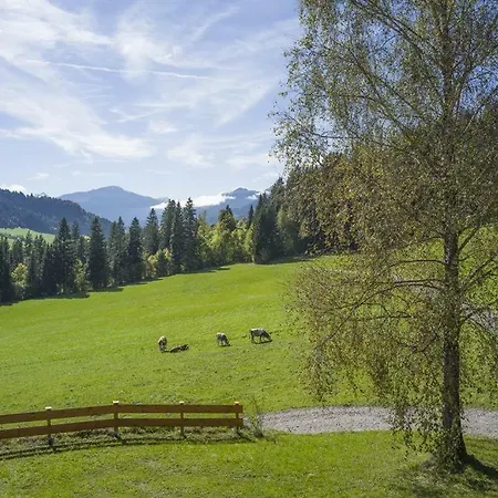 Apartment Bauernhof Hinterfirst *