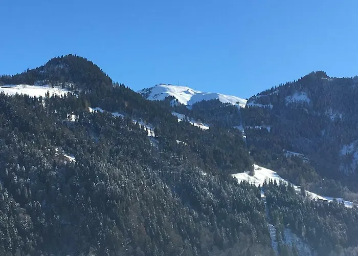 Apartamento Bauernhof Hinterfirst Söll