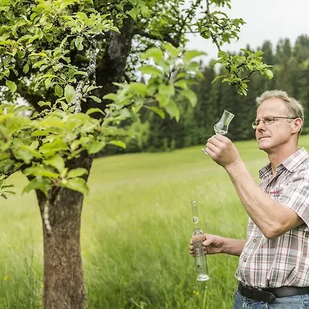 Bauernhof Hinterfirst Appartamento *